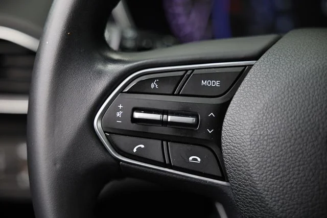 Used 2019 Rainforest Hyundai Limited image 35