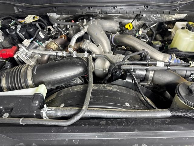 Used 2026 White Ford Platinum image 9