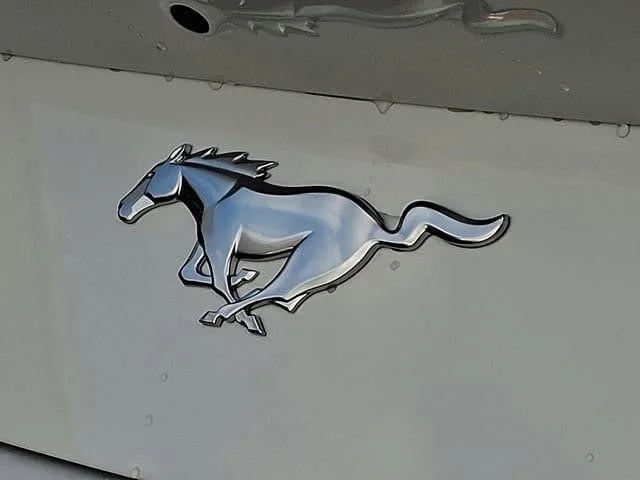 2026 Ford Mustang EcoBoost Fastback - Photo 16