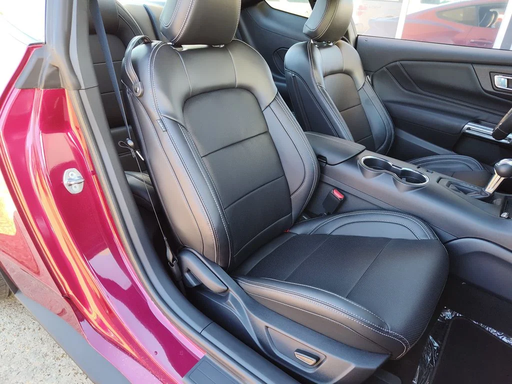 2025 Ford Mustang EcoBoost Premium Fastback - Photo 12