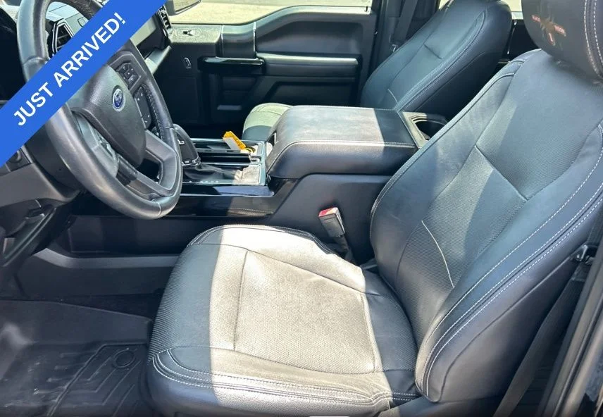 Used 2018 Shadow Black Ford BLACK WIDOW image 6