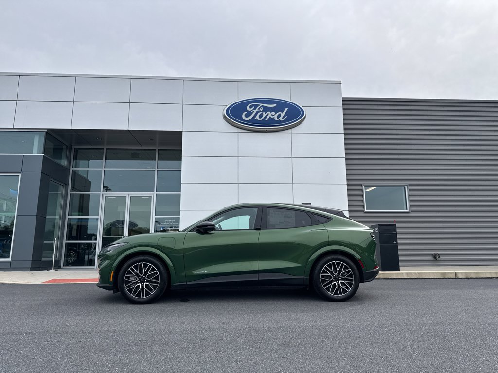 2025 Ford Mustang Mach-E Premium - Photo 10