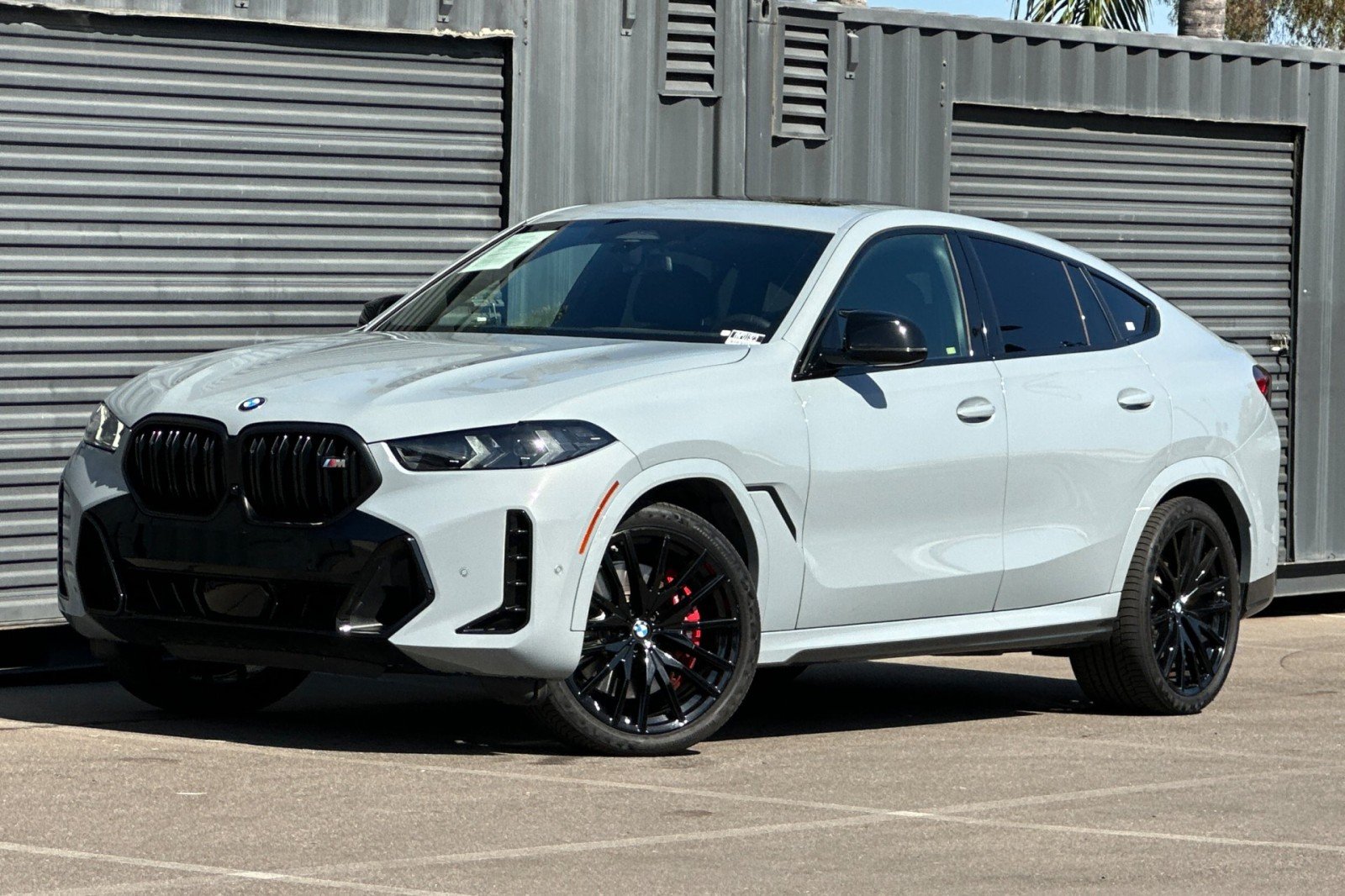 2024 BMW X6
