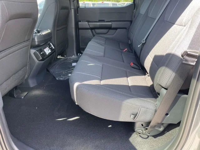 New 2026 Gray Ford STX image 9