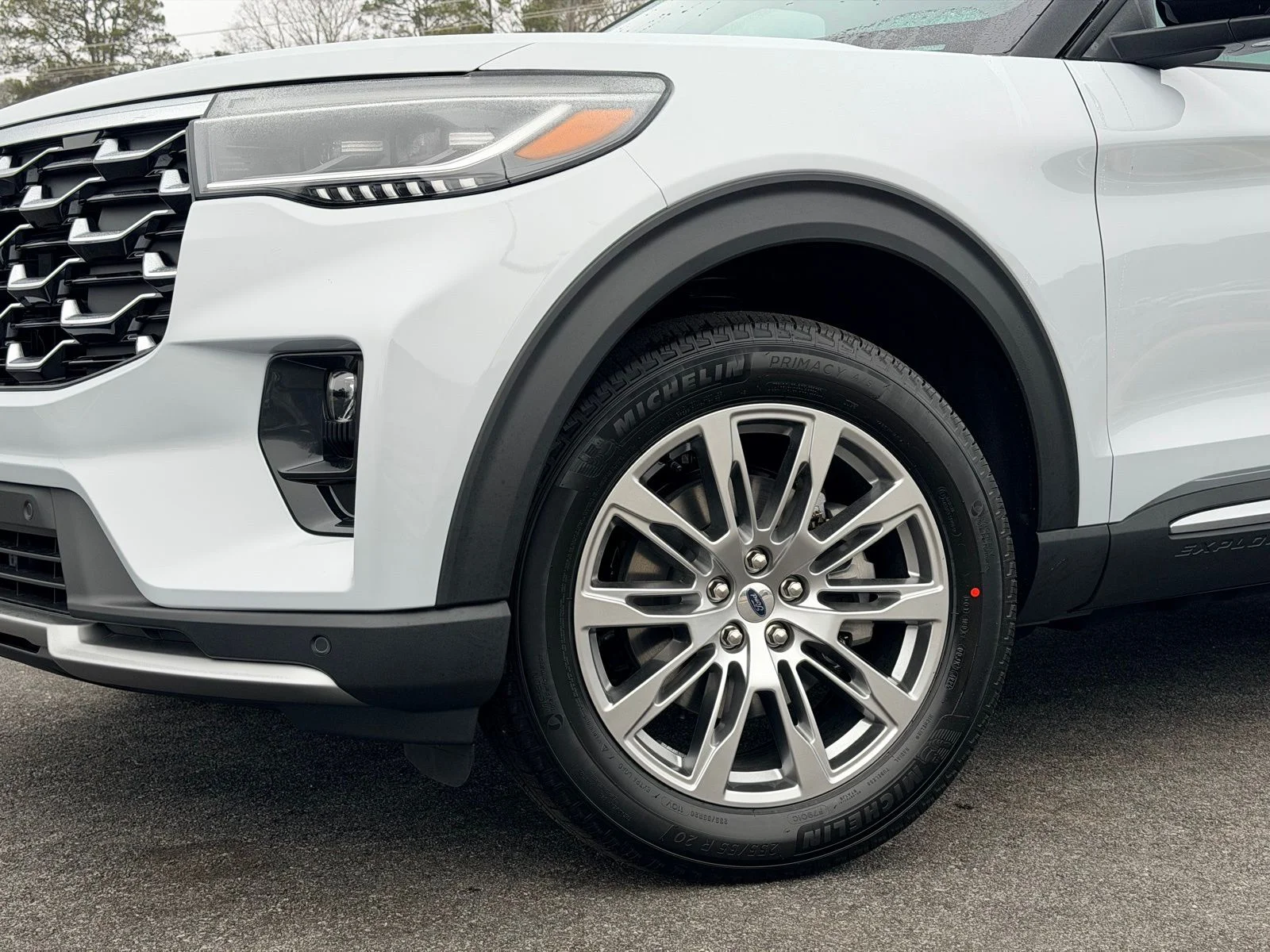 New 2026 White Ford Platinum image 4
