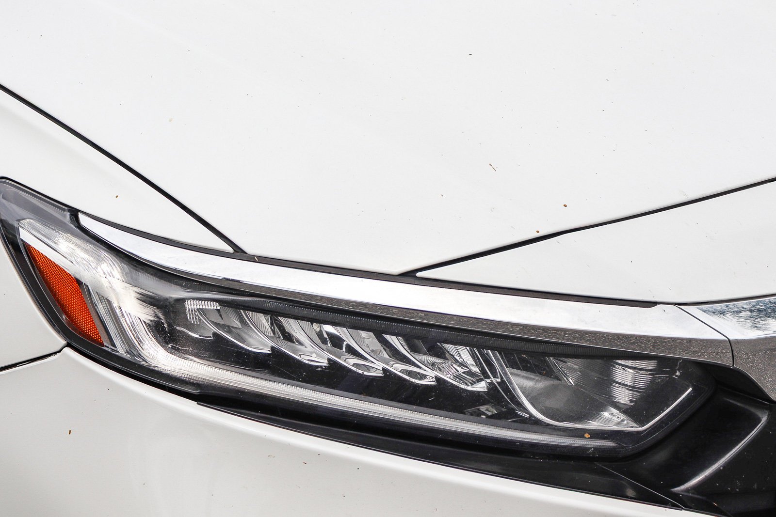 Used 2020 Platinum White Pearl Honda LX image 6