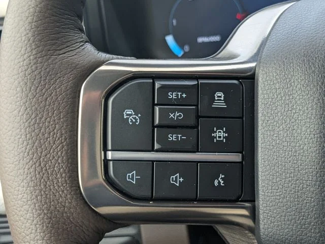 New 2026 Gray Ford  image 32