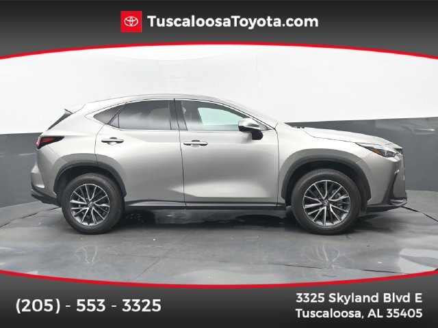 2025 Lexus NX 250