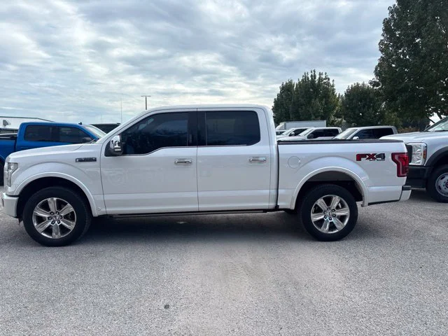 Used 2015 White Ford Platinum image 8