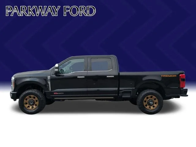 Used 2024 Black Ford Platinum image 2