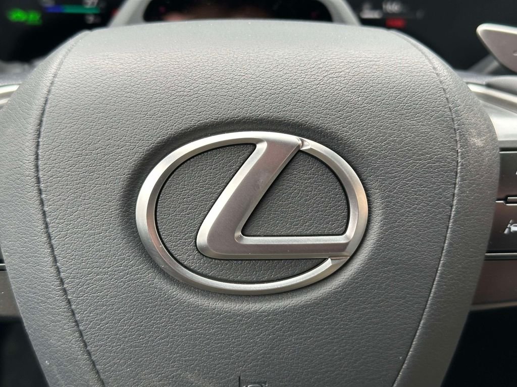 2026 Lexus RX 450h+ Luxury - Photo 19
