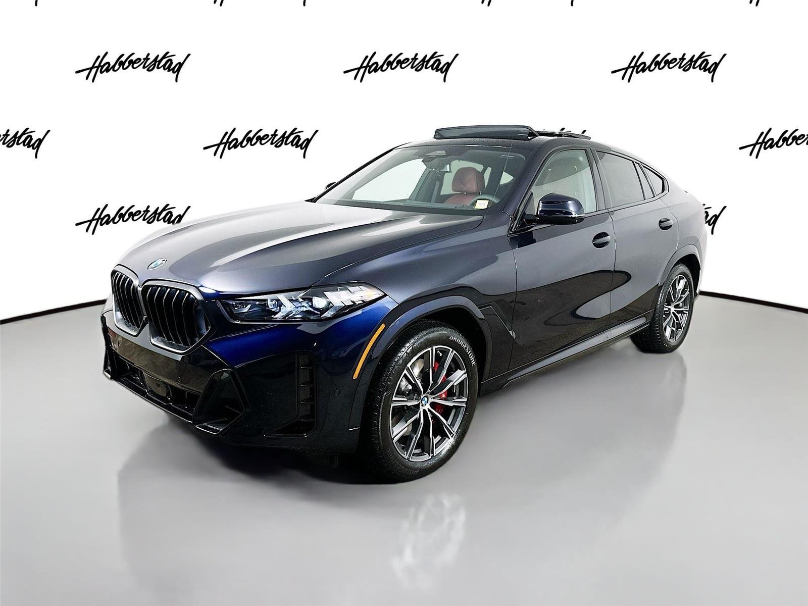2026 BMW X6