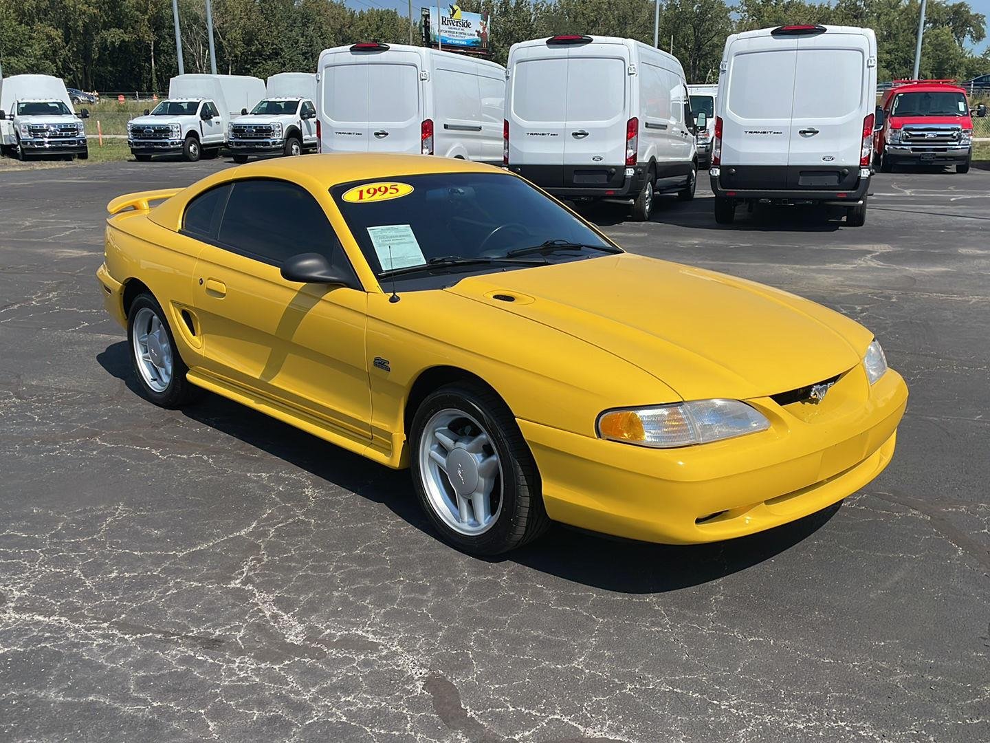 Used 1995 Canary Yellow Ford GT image 7