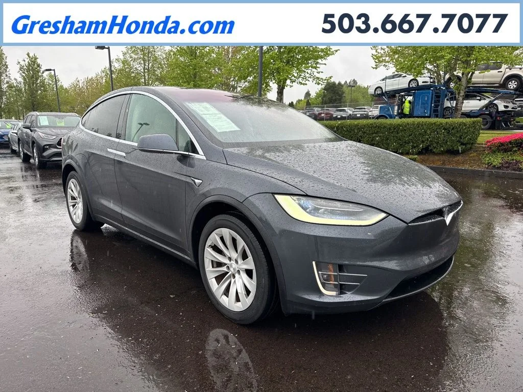 2019 Tesla Model X -'s photo