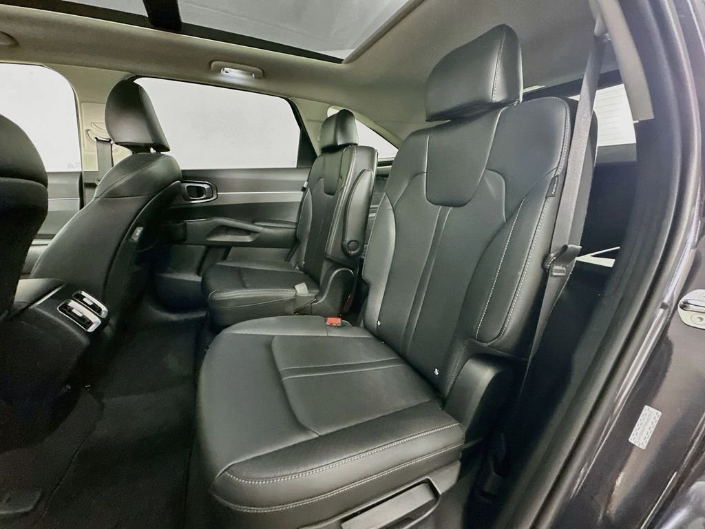 Used 2025 Panthera Metal Kia EX image 26