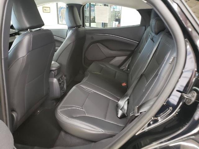 New 2026 Shadow Black Ford Premium image 13