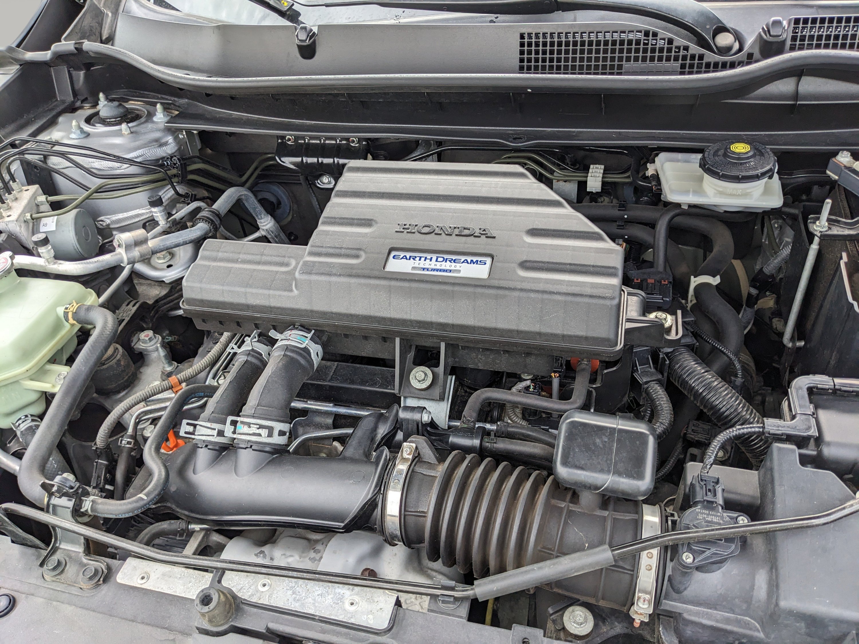 Used 2019 -Select- Honda EX-L image 8