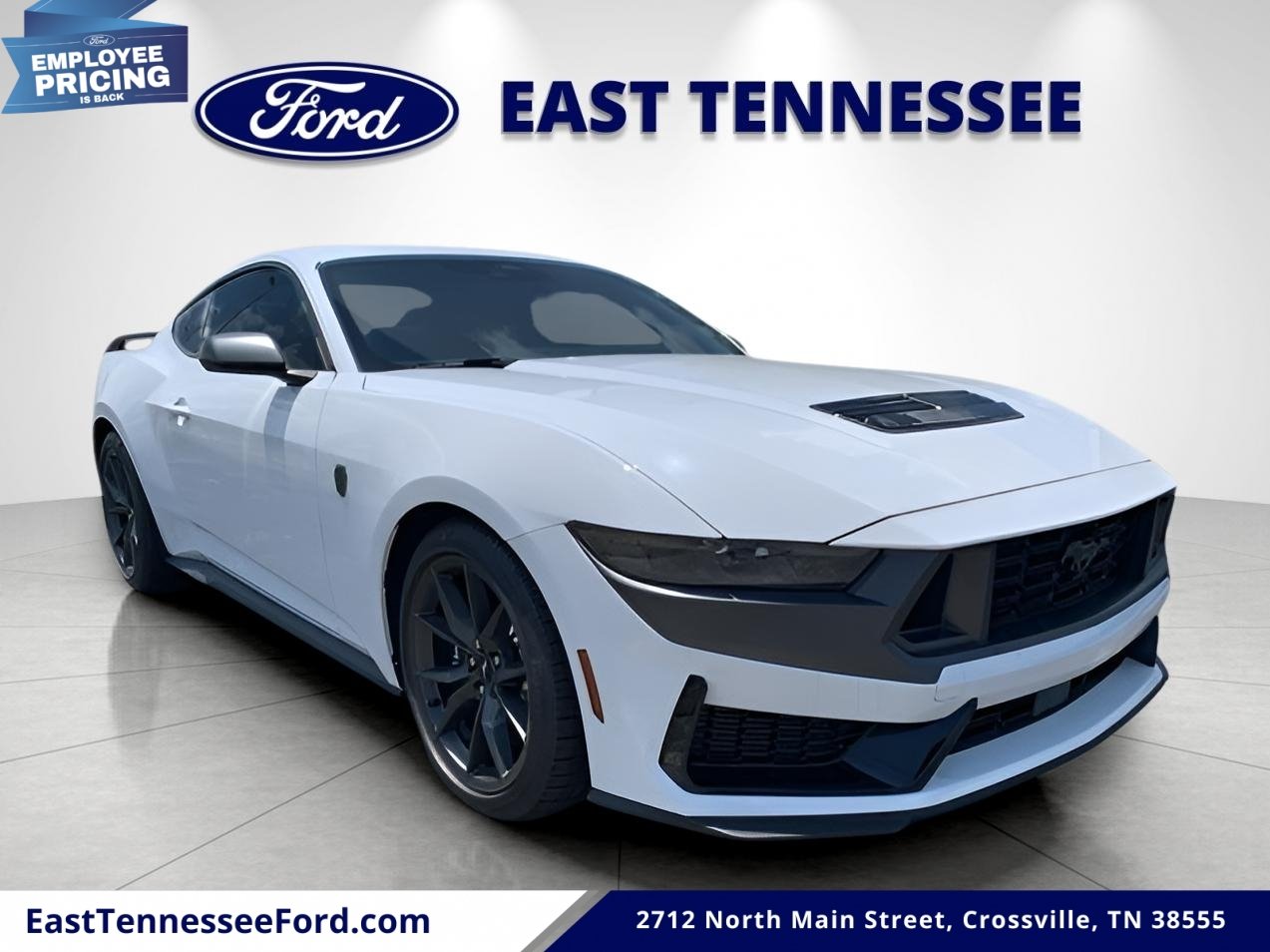 New 2025 Oxford White Ford Dark Horse image 1