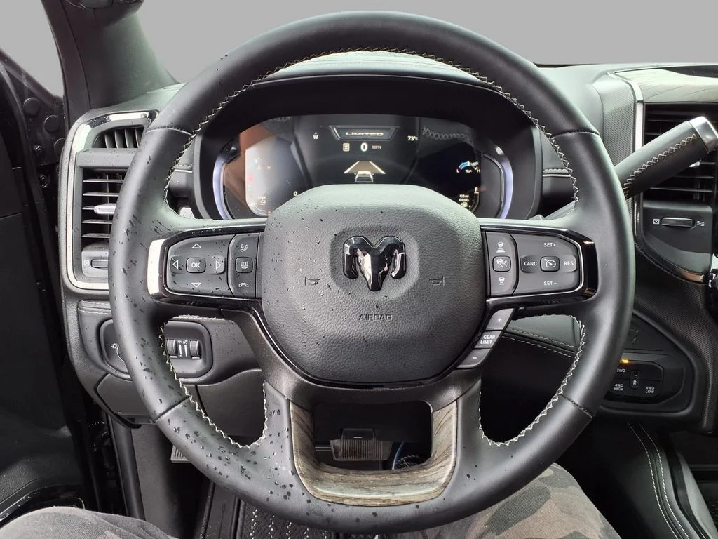 Used 2025 Black Ram Limited image 14