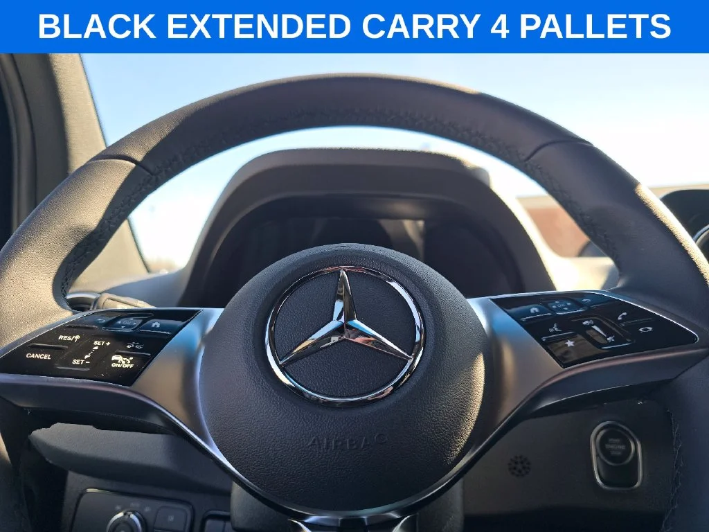 New 2026 Jet Black Mercedes-Benz Cargo 170 WB image 21