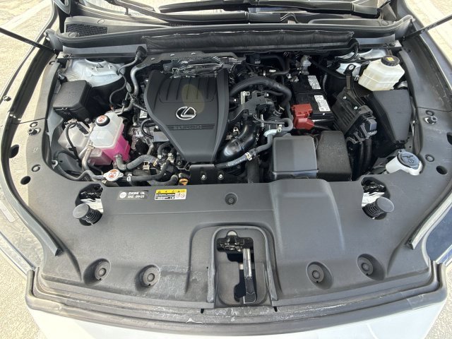 Photo 27