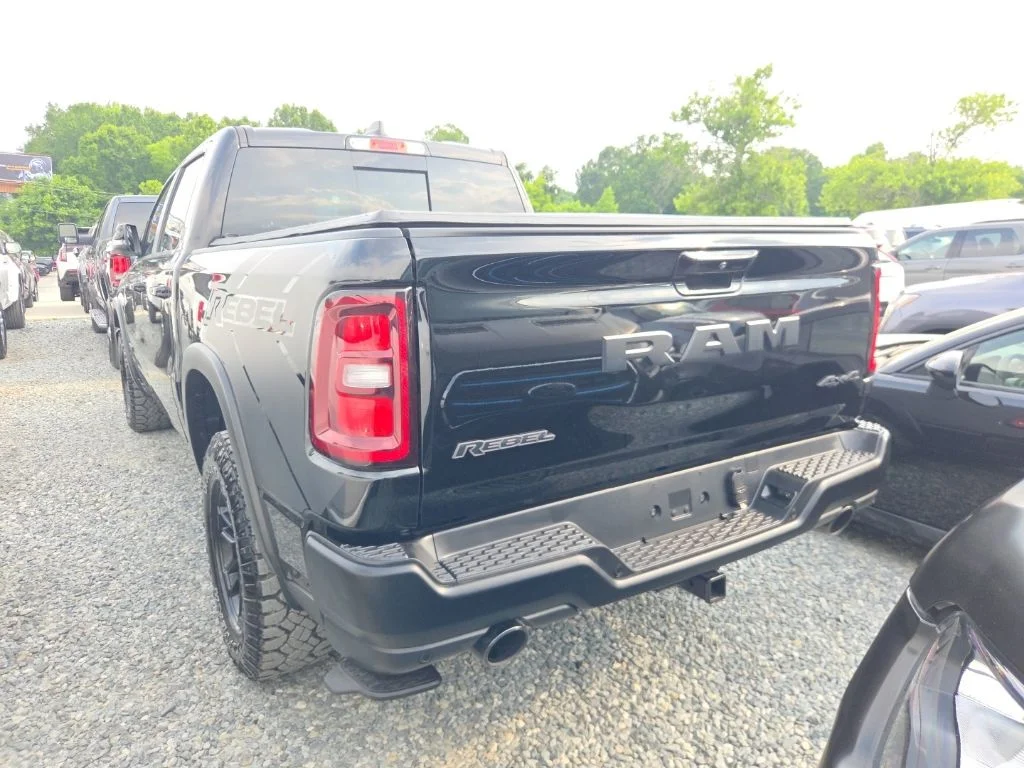 Used 2025 Black Ram Rebel image 4