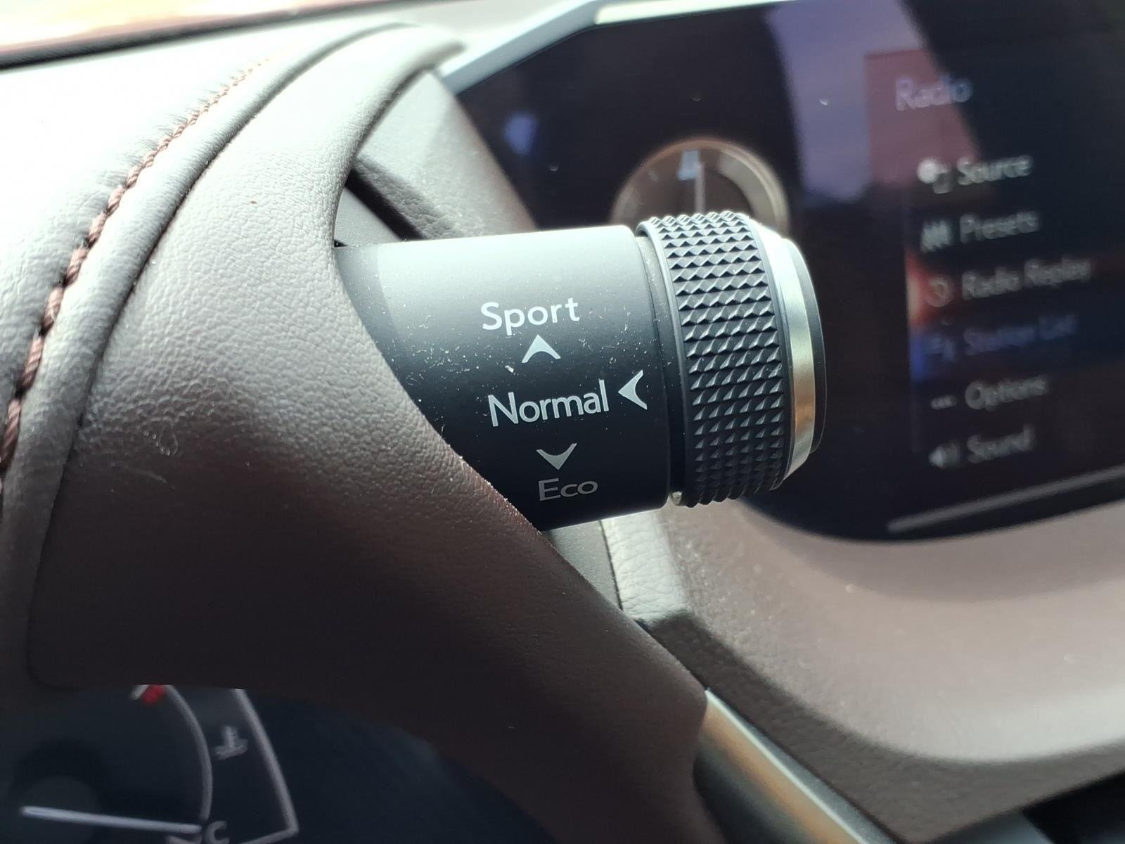 Used 2020 Matador Red Mica Lexus ES 350 image 9