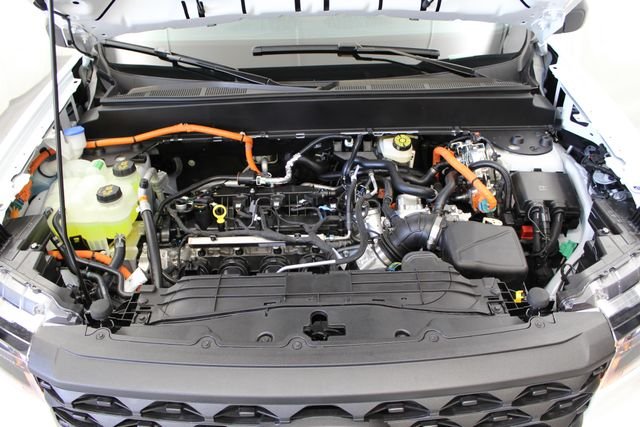 New 2026 Oxford White Ford XLT image 21