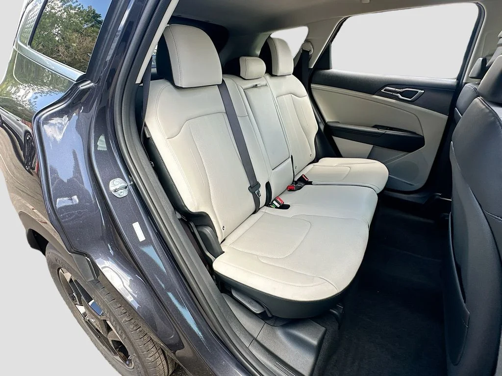 New 2026 Panthera Metal Kia EX image 26