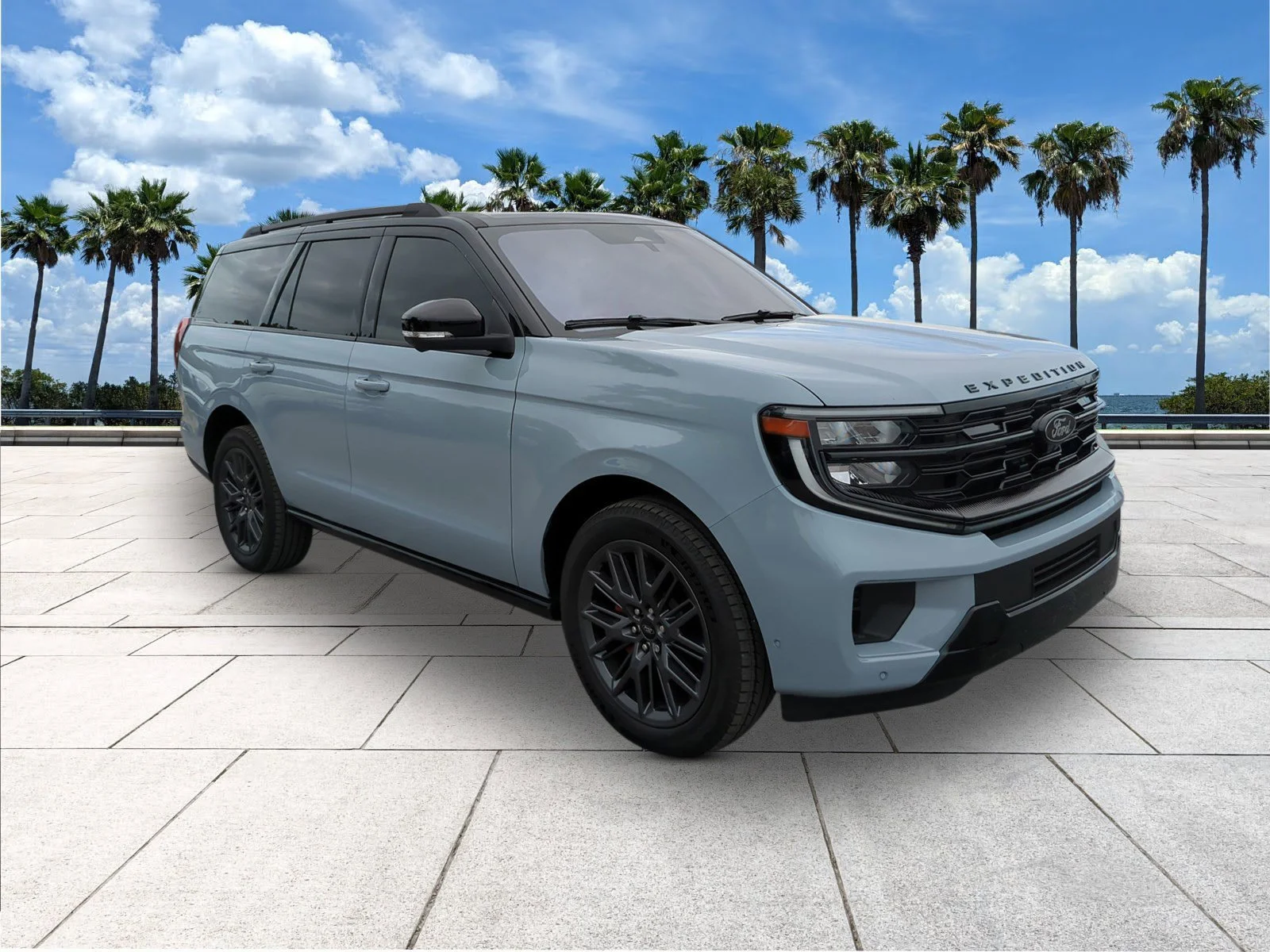 2025 Ford Expedition Platinum 4x4's photo