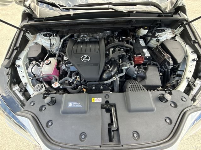 2024 Lexus NX 350 - Photo 27