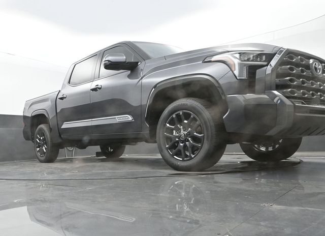 New 2026 Magnetic Gray Metallic Toyota Platinum image 24