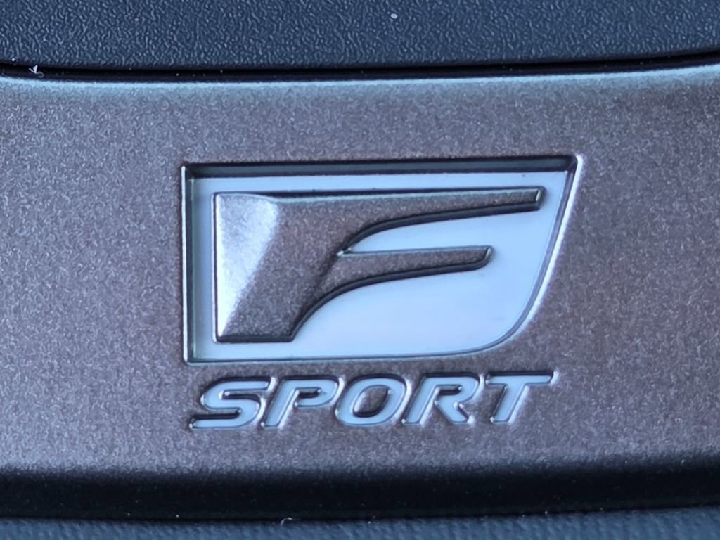 New 2026 Caviar Lexus F SPORT HANDLING AWD image 23