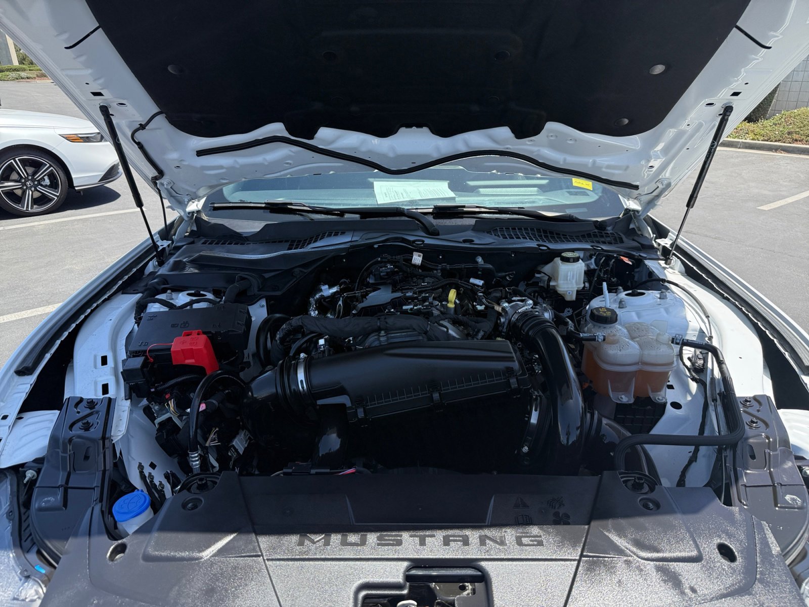 Used 2024 Oxford White Ford EcoBoost image 20