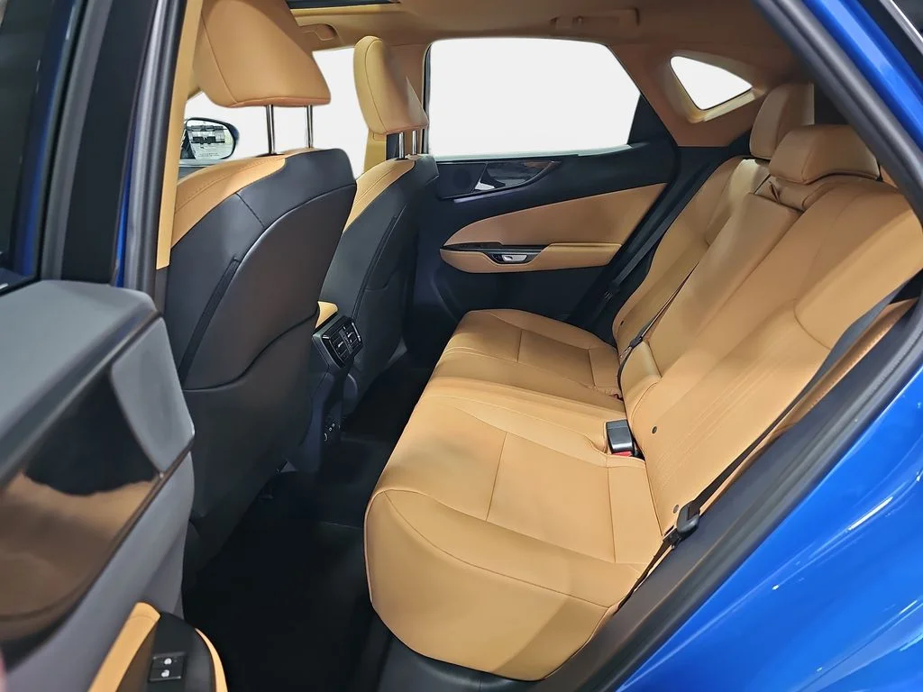 New 2026 Grecian Water Lexus PREMIUM image 10