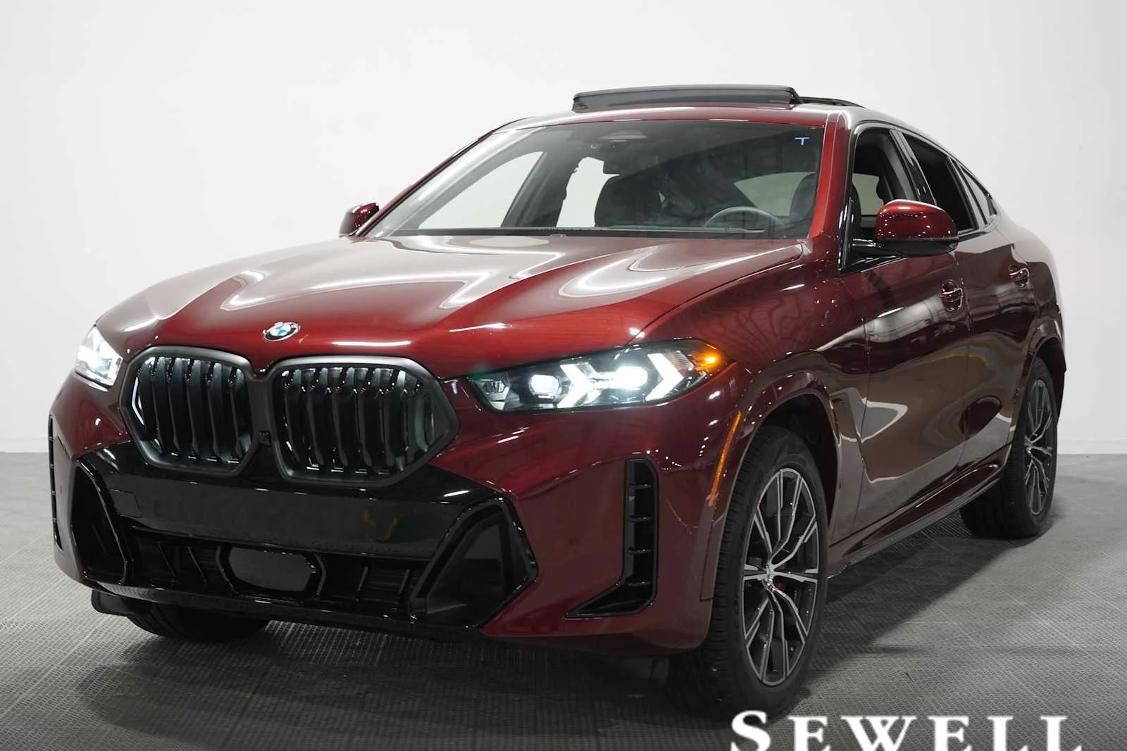 2026 BMW X6 xDrive40i's photo
