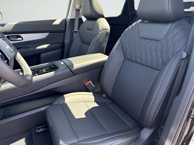 New 2026 Super Black Nissan Platinum image 21