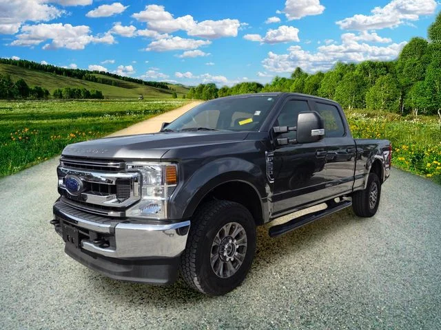 Used 2020 Gray Ford XL image 3
