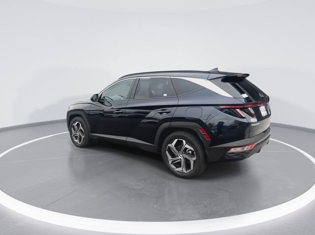 Used 2024 Blue Hyundai SEL Convenience image 6