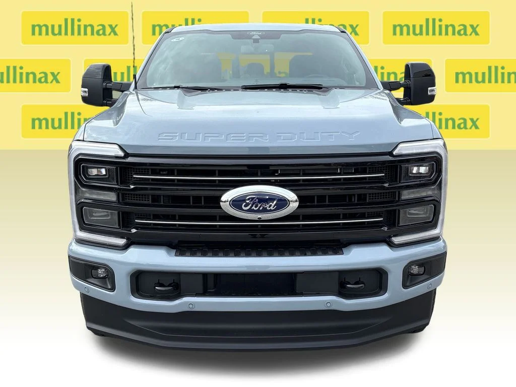 New 2026 Gray Ford Platinum image 22