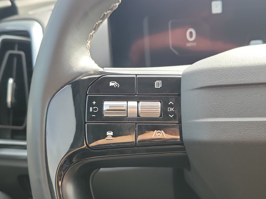 Certified Used 2026 Panthera Metal Kia SX image 28