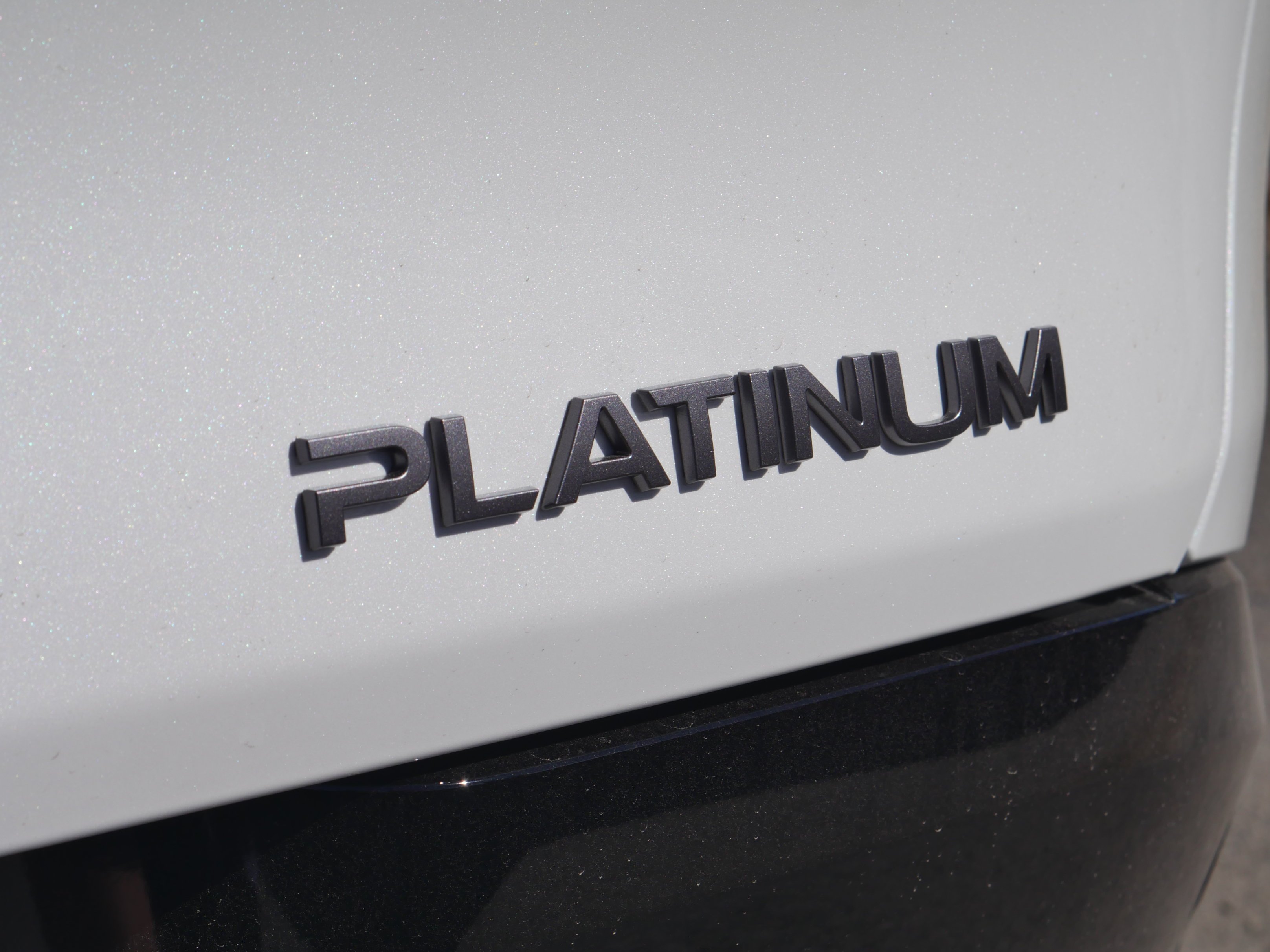 New 2026 Everest White Pearl TriCoat / Super Black Two-tone Nissan Platinum image 19