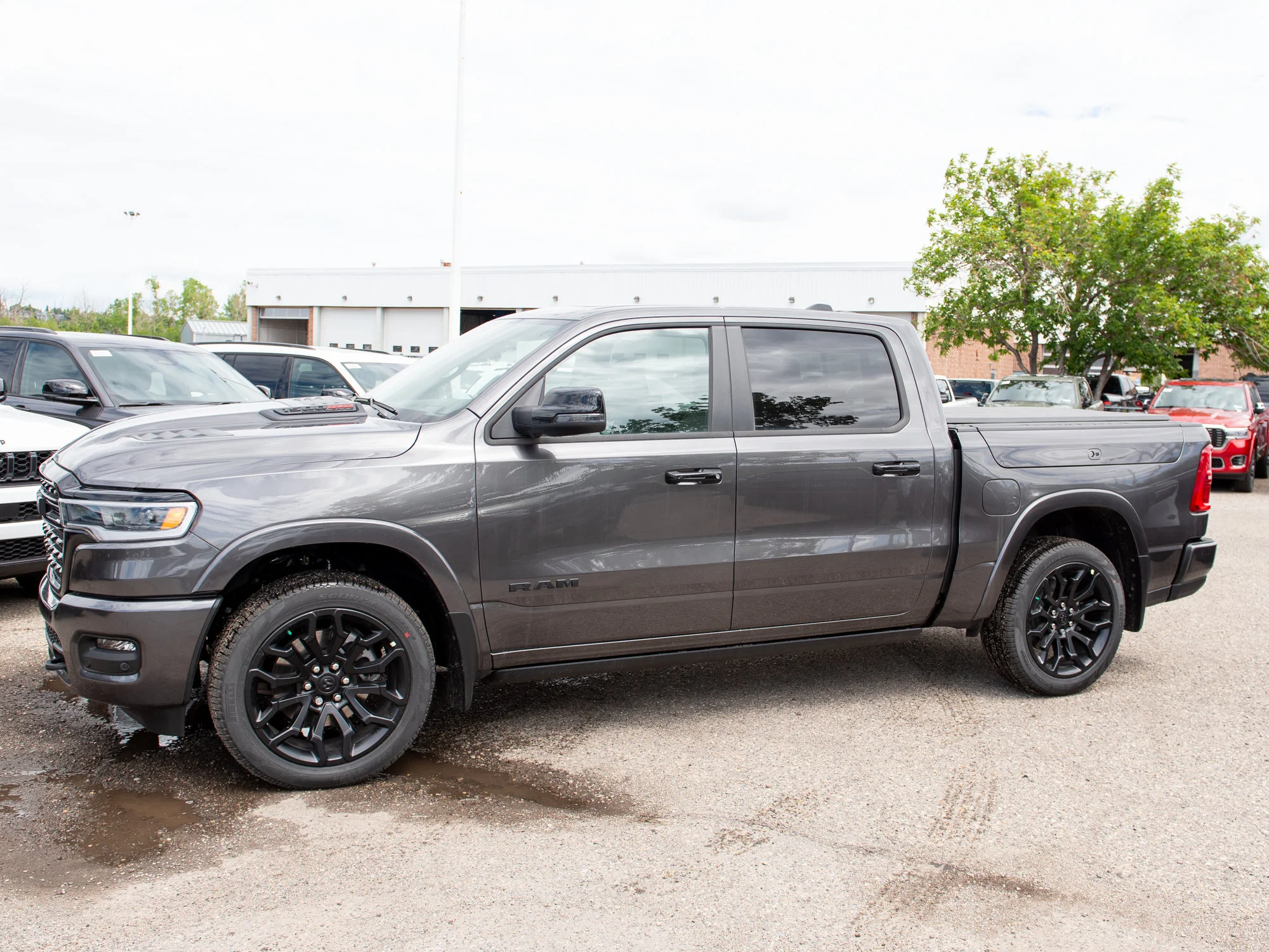 New 2026 Grey RAM Limited* image 2