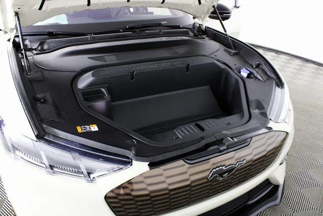 2025 Ford Mustang Mach-E GT - Photo 6