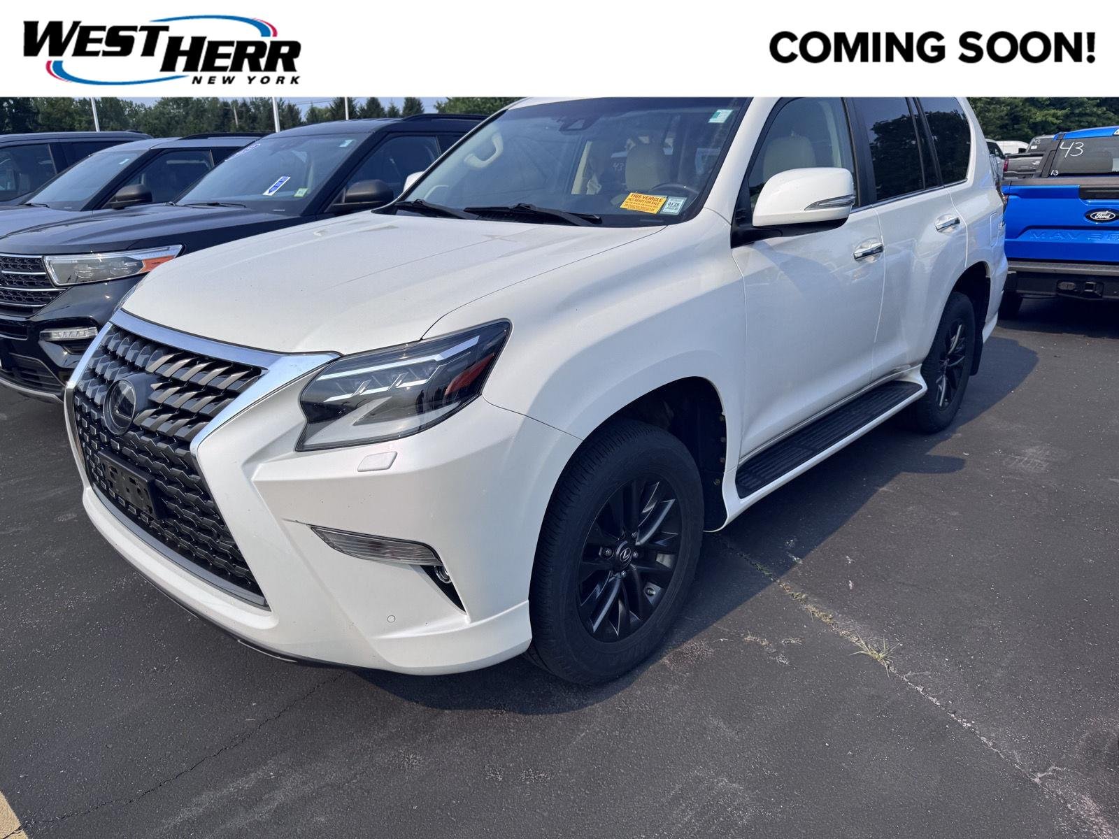 Used 2020 Starfire Pearl Lexus GX 460 Premium image 1