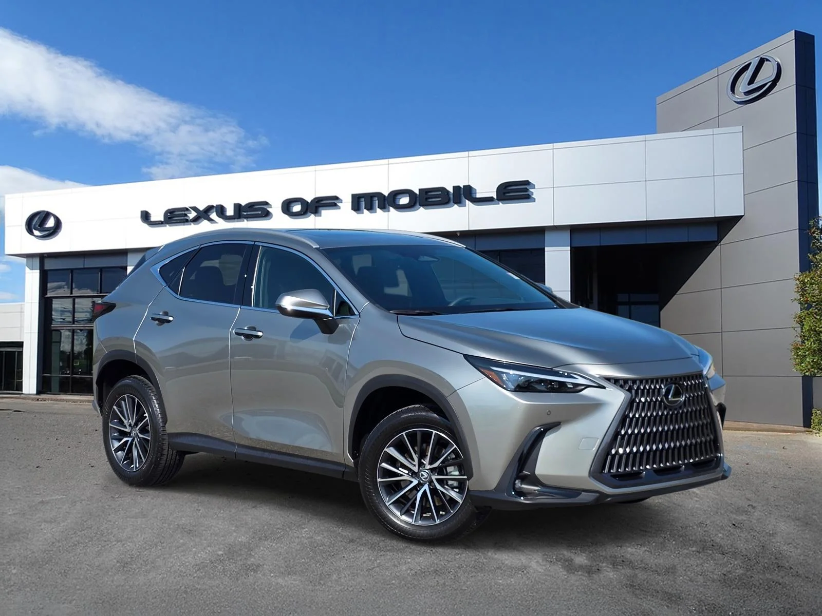 2023 Lexus NX 350 350 Premium AWD's photo