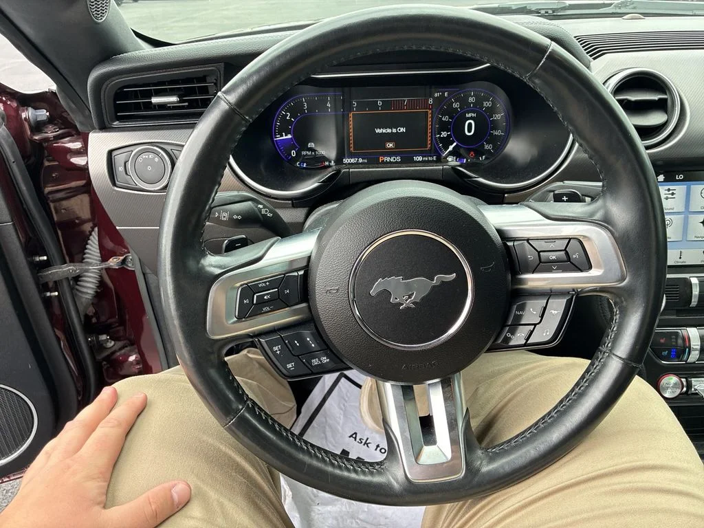 Used 2018 Red Ford EcoBoost Premium image 14