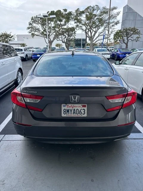 Used 2019 Gray Honda LX image 6