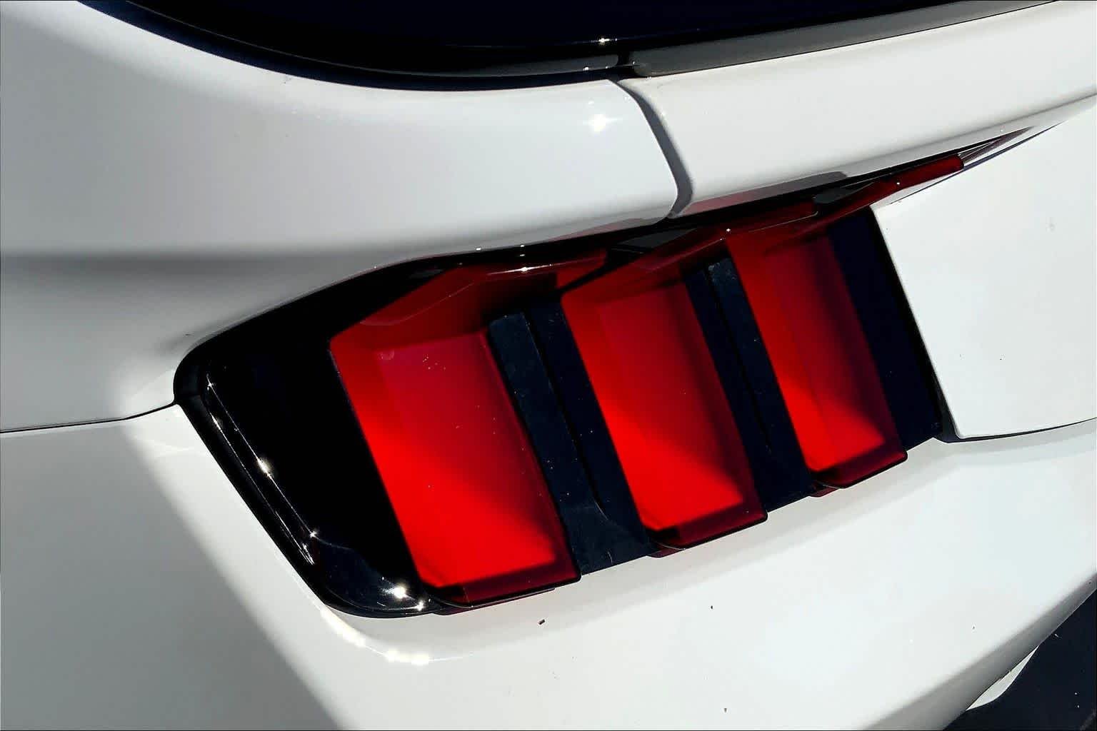 New 2026 Oxford White Ford EcoBoost® Fastback image 13