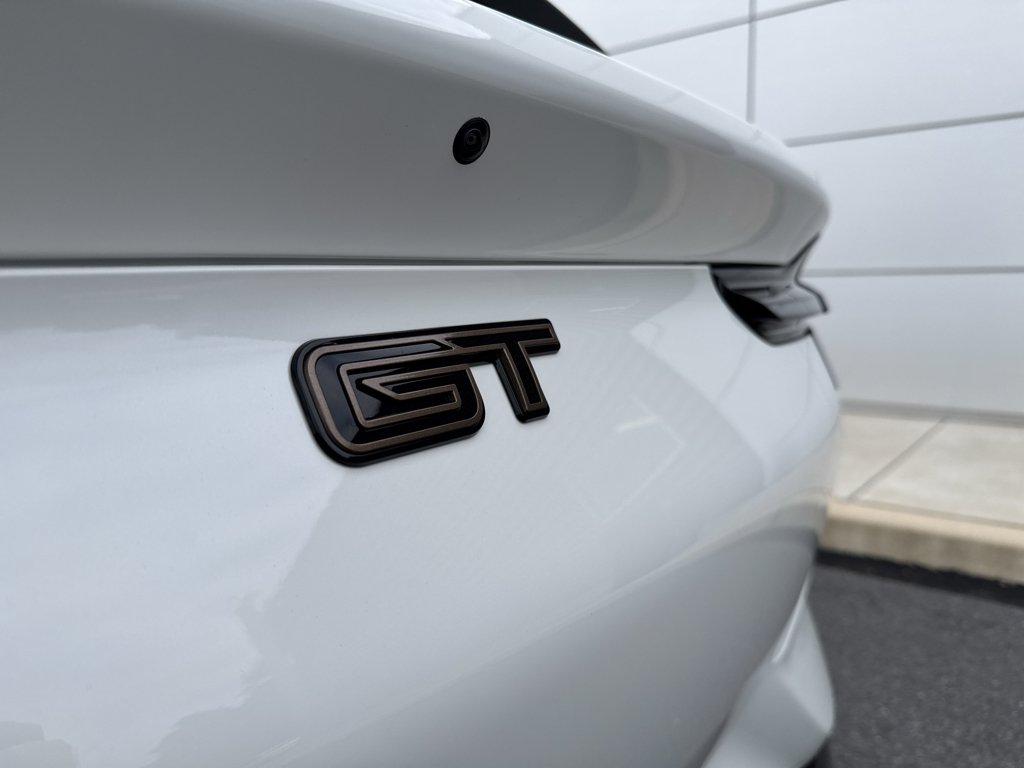 2025 Ford Mustang Mach-E GT - Photo 21